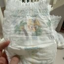 팸퍼스2026 터치오브네이처썸머팬티 8개월 사용후기