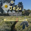힐링카약파크비체올린 | 제주 힐링 테마파크 비체올린, 카약 카트 후기 | 입장료 할인 꿀팁 | 안내도 | 개화 시기