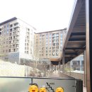 겨울온천여행 제천포레스트 리솜 숙박 후기 해브나인스파 이용정보