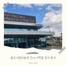 선미술관 | 울산시립미술관 안소니맥콜 전시 후기 월뿔을 그리는 선2.0