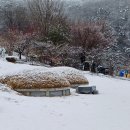 고향 어사골(늘복골) 산소에 눈이 하얗게 곱게도 내렸네요(02.25.) 이미지