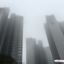 로얄키즈소아과 이미지