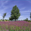 대산1로 이미지