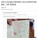 주정차-14 이미지