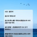 청산리 벽계수야 / 시조 황진이 이미지