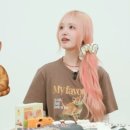 리즈컬러 이미지