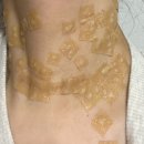 플러스후노원의원 이미지