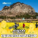 *****제주 유채꽃명소 베스트10 힐링트래킹*****25년 3월28일(금)-3월30일(일)/2박3일 이미지