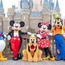 아코네일 이미지