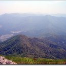 변산수산 - 남동구 장도로 86-17 | 변산수산