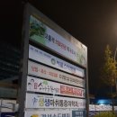 서울나눔마취통증의학과의원 네이버블로그