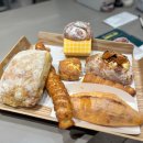 빅토리아 베이커리 가든 괴정점 | 부산빵맛집 괴정역빵집, 모든 빵이 맛있는 빅토리아베이커리가든 괴정 직영점 후기