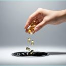 (주)동성과학 | 기초대사량 높이는 방법: 살 안 찌는 체질 만드는 5가지 과학적 습관