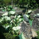 청산가든 별난매운탕 이미지