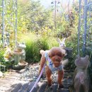 가든테라피펜션 이미지