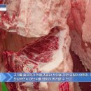 농생명산업 유망직업 – 초음파진단 관리사 이미지