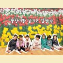 귀여운-3반 🌷 스페셜데이-장미꽃축제/보드판에 끼적이기/공놀이/종이컵놀이/특별활동 미술 • 예술 이미지