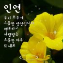 인셀덤 늘해랑