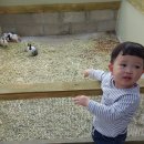 이춘기농장 이미지