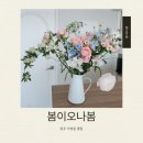 봄이오나봄 - 포항시 남구 해동로 122-1 | [청주 가경동 꽃집] 봄이오나봄 방문 후기
