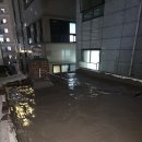 일등설비 | 마포구누수 주택 건물 옥상 방수 공사 시공 후기