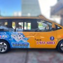 스위밍차일드 이미지