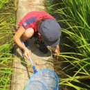 준우농장 이미지