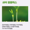 다이소 화장품 추천 가성비 갑 실사용 후기