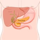 조영메디칼 이미지