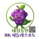 지역정보화센터 | 내돈내산 함평 해름 아쿠아포닉스 상추! 더이룸팜 라이브 방송 후기 &amp; 한 달 보관 꿀팁!