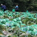 가락1리 이미지