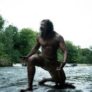 더 스틸 이미지