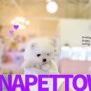 파주켄넬 이미지