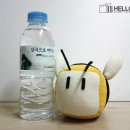(주)아름여행사