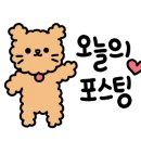킹덤당구장 이미지