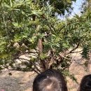 알곡어린이집 이미지