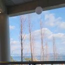 더마레 104 이미지