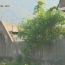 송포양계 이미지