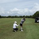 그린골프스쿨 이미지