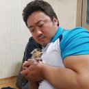 더썬즈아나키