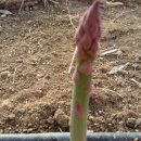 주렴농장 이미지