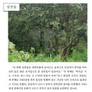홍동면 세천마을회관 | 홍동면 원천리 세천마을 - 마을 둘러보기