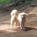 울산농장 이미지