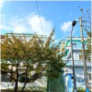 대청공원 원로의집 이미지