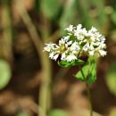 수원-1024 이미지