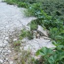 내고2농로 이미지