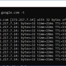 컴퓨터랑 인터넷 이미지