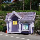 포천 허브아일랜드- 라벤더축제와 핑크모래,트리포토존 1 (2025.6.8.일) 이미지