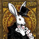 타로카드상담 이미지