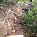 임마누엘팜 이미지